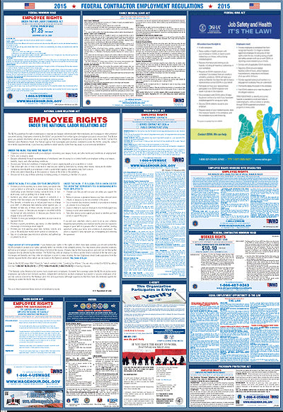 Federal Contractor Paper Poster English
