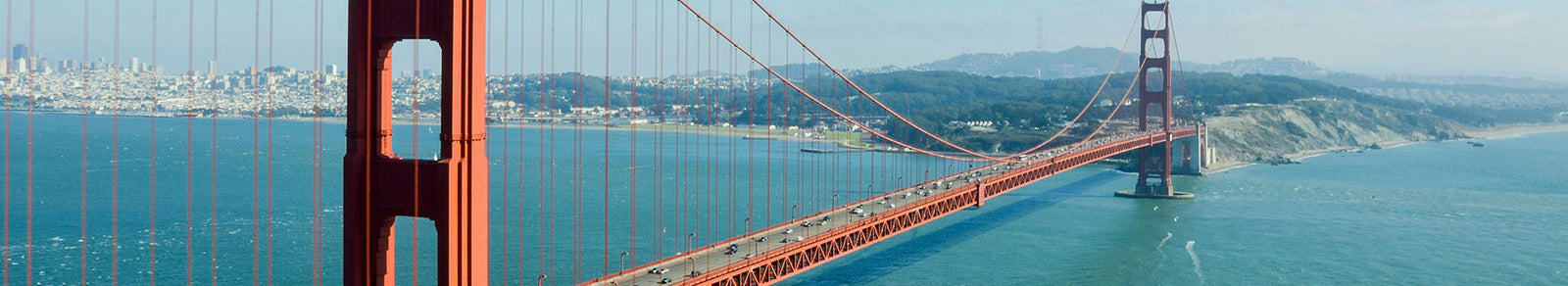 California Specific Poster