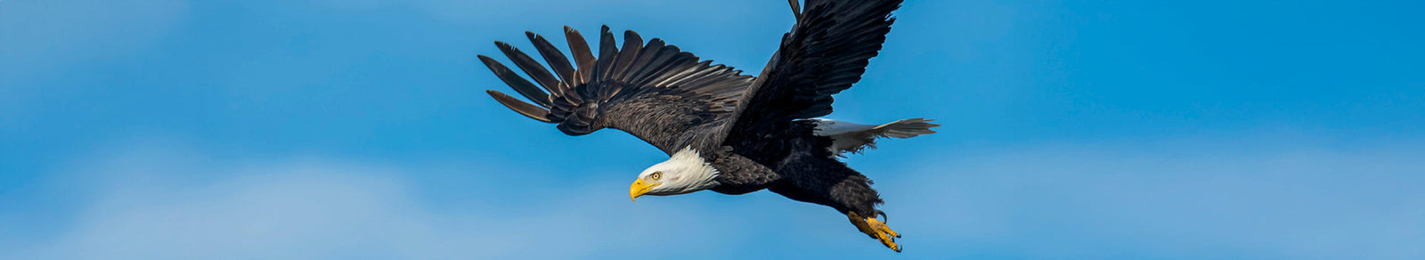 Miscellaneous Federal & Other Specific Industry Posters