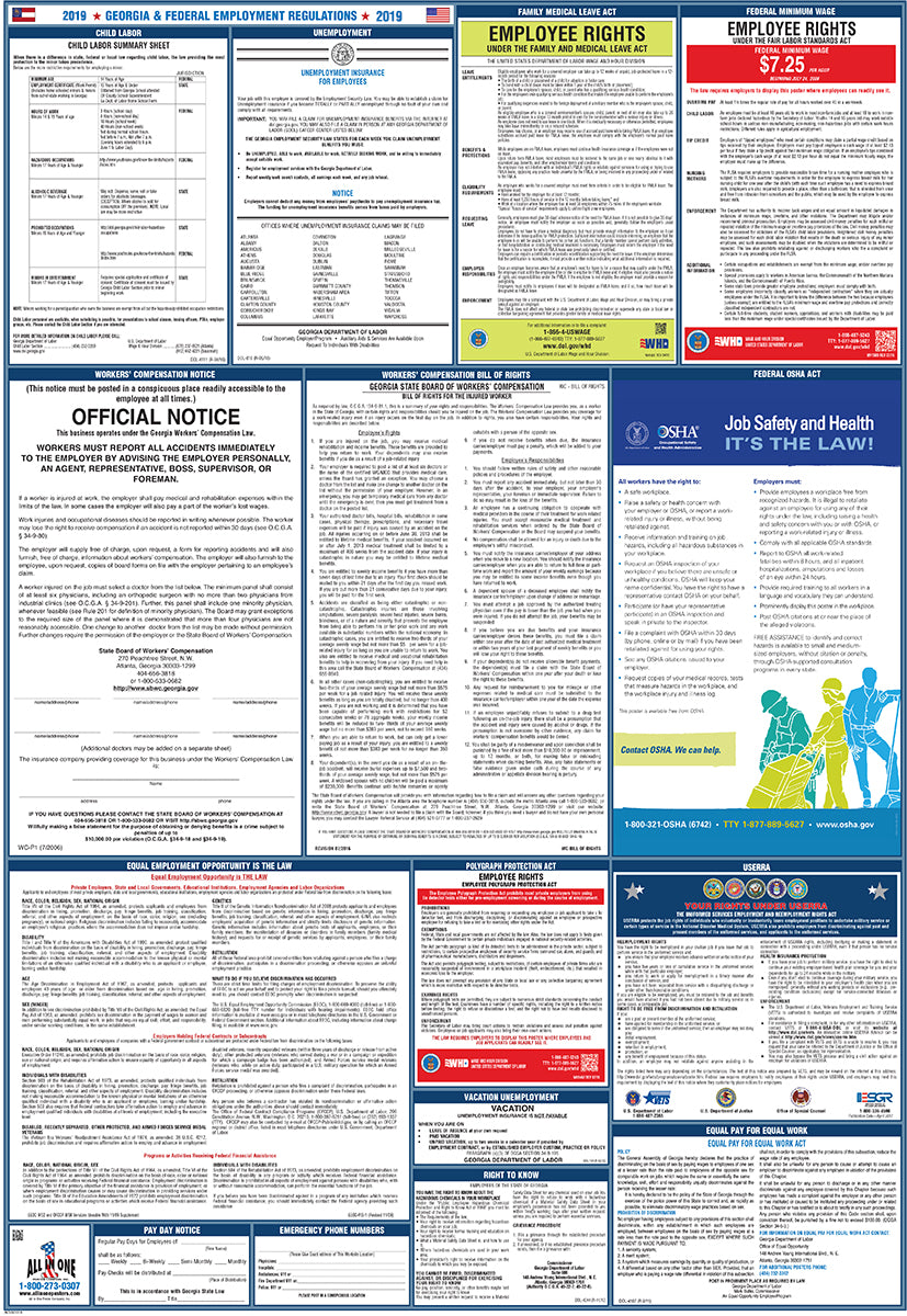 2026 Georgia & Federal Combination Poster