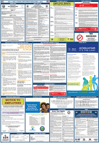 2026 Ohio & Federal Combination Poster