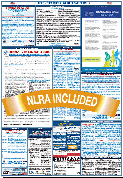 Federal Contractor Paper Poster Spanish