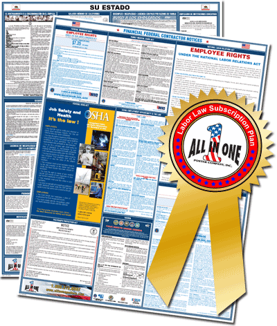 3 Year Financial Federal Contractor PAPER Package Spanish